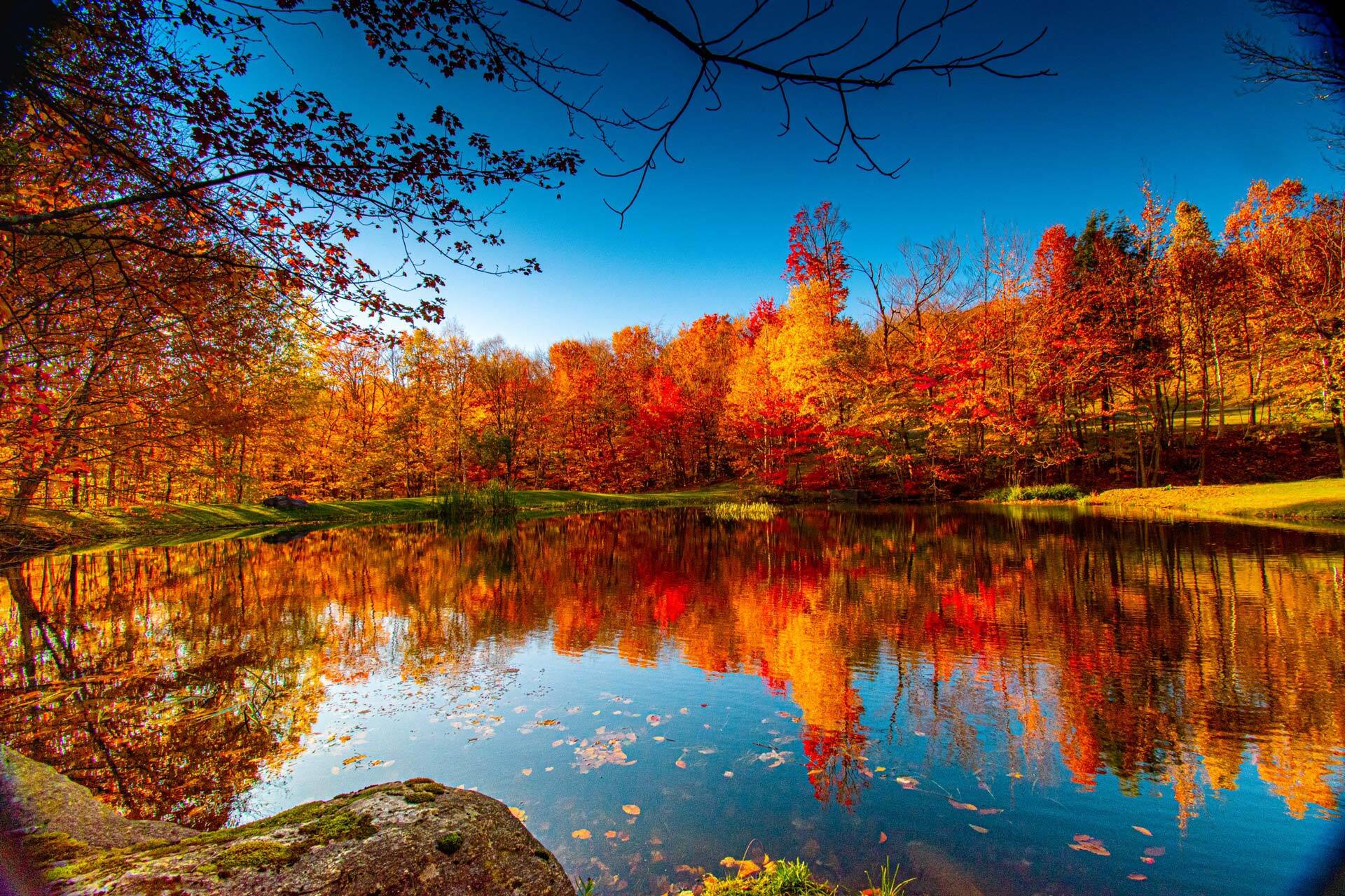 Lake in middle of forest during fall
