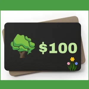 $100 Gift Certificate