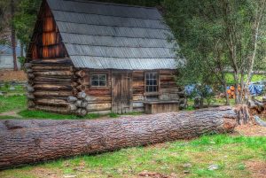 EARLY SETTLERS of Essex County BOOK 3