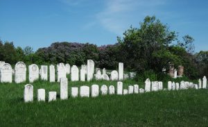Woolwich Township St Pauls Evangelical Cemetery and Church Records