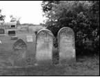 Hamilton_Tweedside Cemetery - Revised to 2011 - Image 3