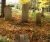 3351 Hamilton Family Burial Ground (18 pgs)