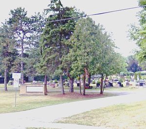 3384 Mount Osborne Cemetery (152 pgs)