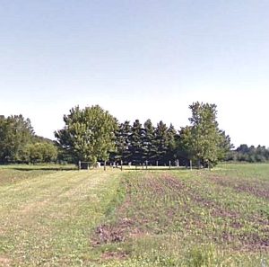 4611 Fretz Cemetery (12 pgs)