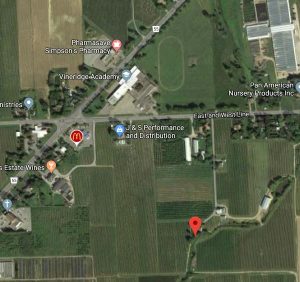 5894 Bellinger and Corus Family Cemeteries (14 pgs)