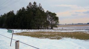 Wellesley Township Amish Mennonite Cemetery