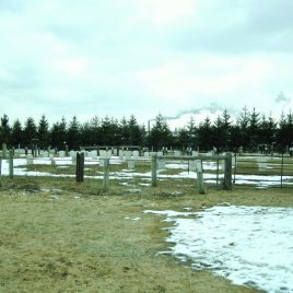 Wellesley Township Mennonite Cemetery
