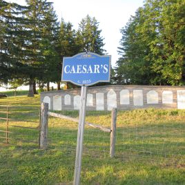 Caesar’s Wesleyan Methodist Cemetery, Chinguacousy Township, Peel County