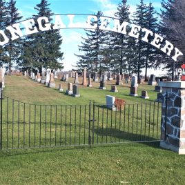 Donegal Cemetery – Elma Township