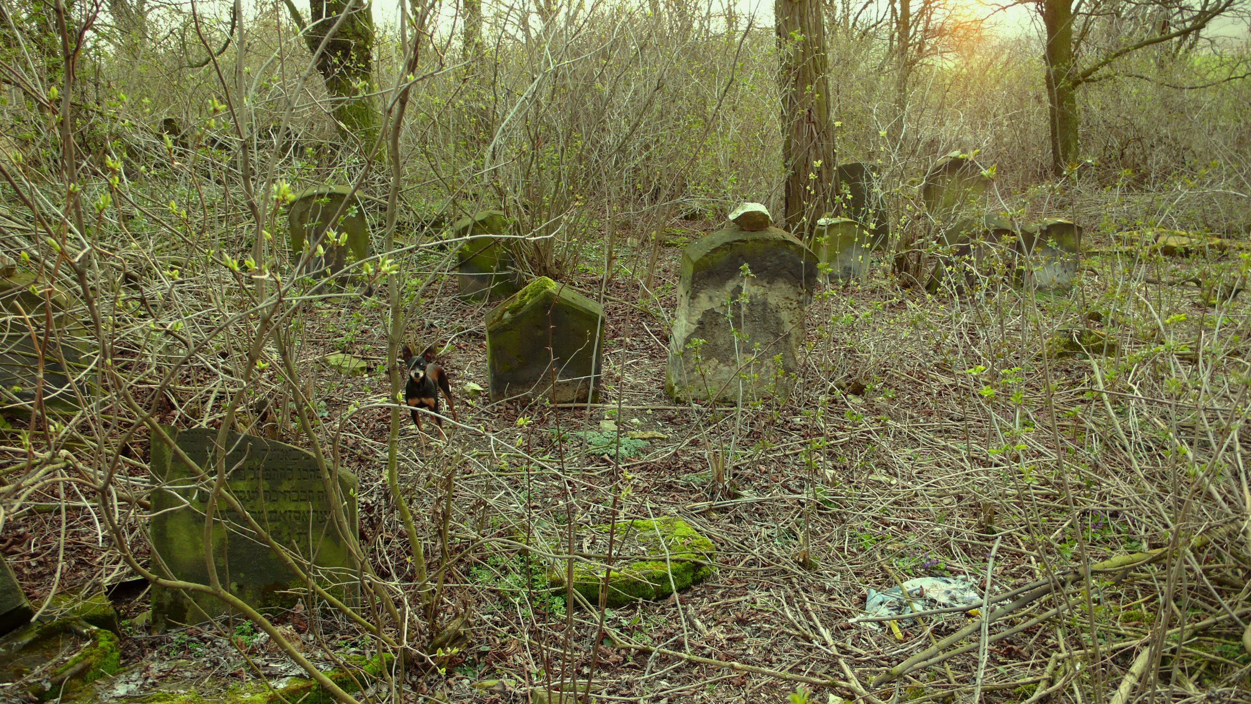 Monuments and Abandoned Graveyards in Essex County