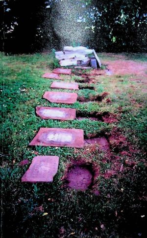 Cemeteries of Harrow and Colchester South Townships